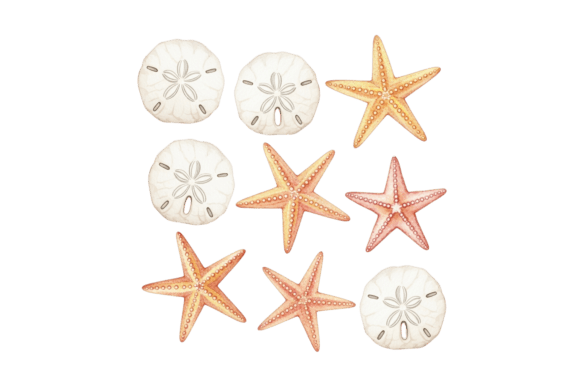 Sand Dollar and Starfish Ocean Artwork: A Practical Evaluation
